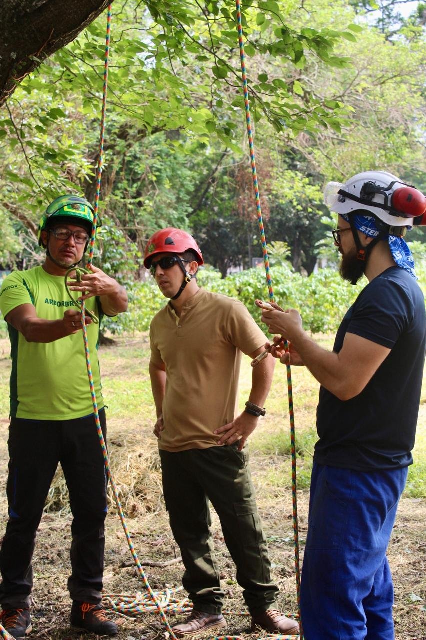 NR 35 – Acesso e Movimentação com Segurança em Árvores - Imagem 11