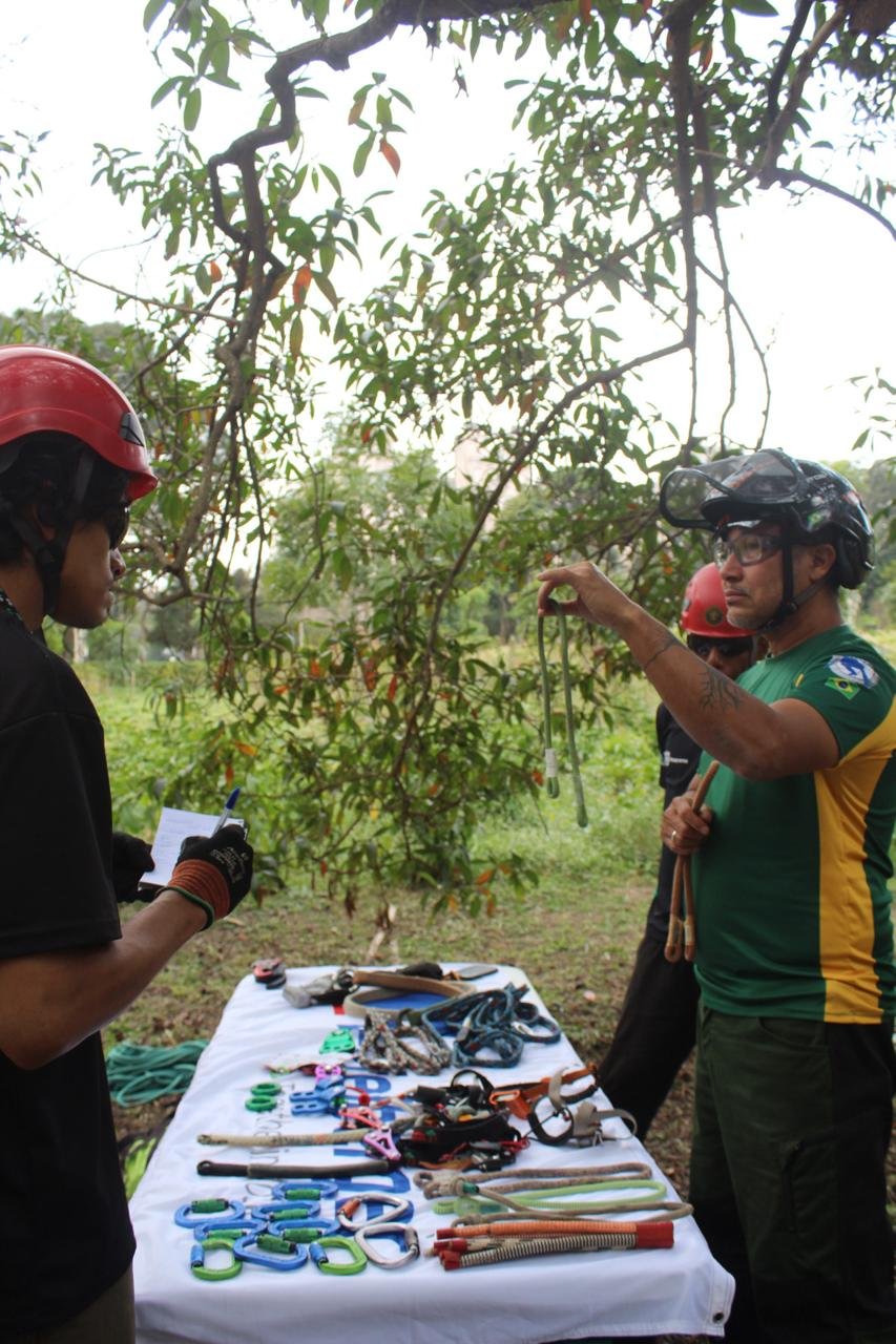 NR 35 – Acesso e Movimentação com Segurança em Árvores - Imagem 6