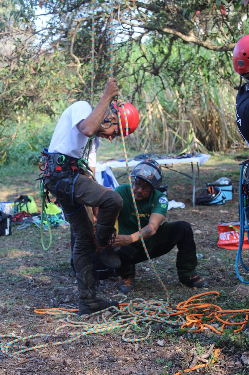 NR 35 – Acesso e Movimentação com Segurança em Árvores - Imagem 4