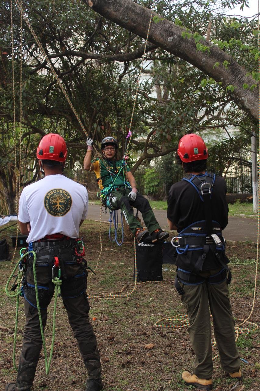 NR 35 – Acesso e Movimentação com Segurança em Árvores - Imagem 3