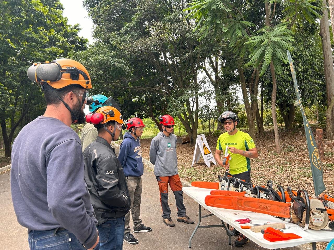 NR 12 - Uso de Motosserra com Segurança - Imagem 14