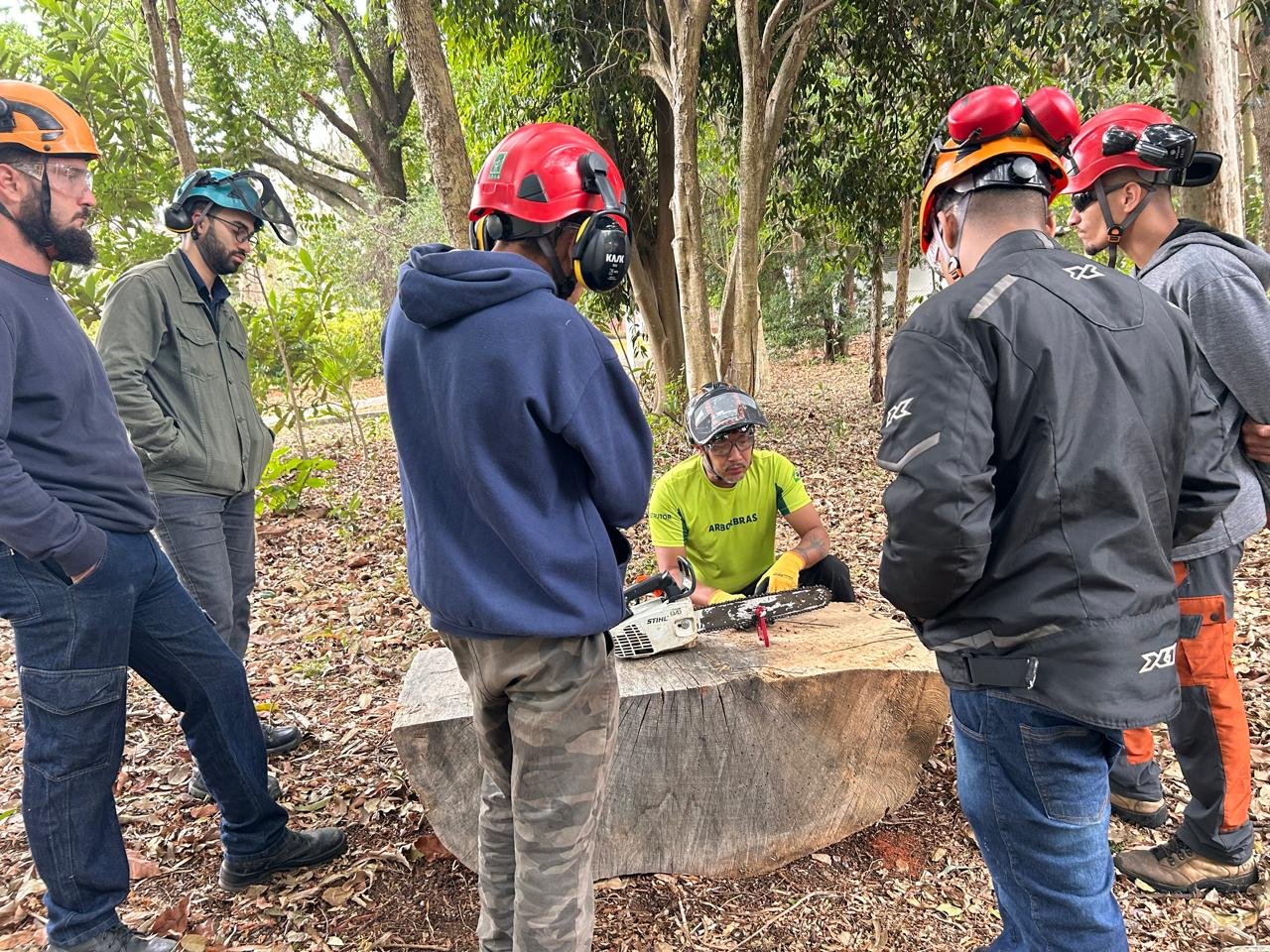 NR 12 - Uso de Motosserra com Segurança - Imagem 13