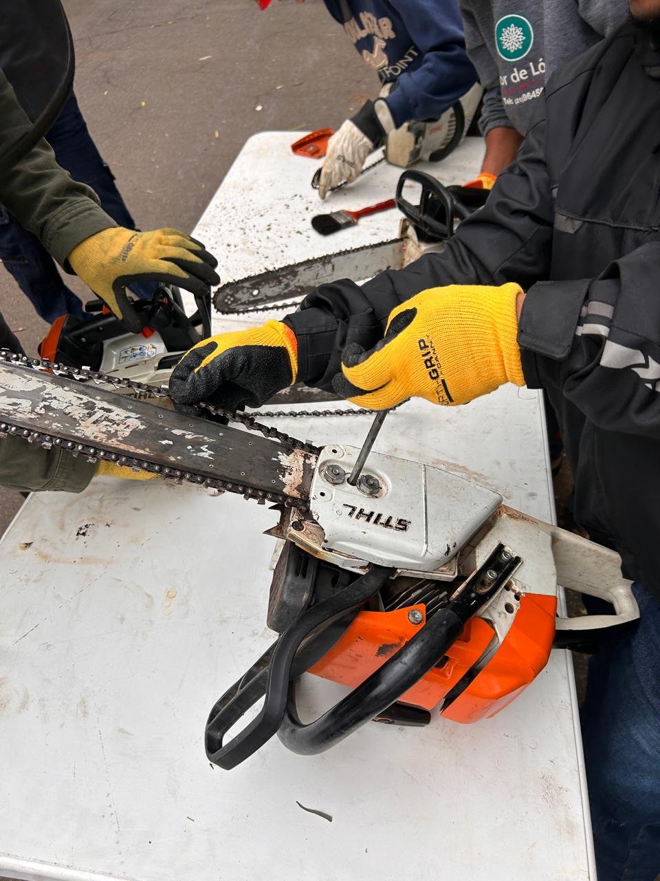 NR 12 - Uso de Motosserra com Segurança - Imagem 12