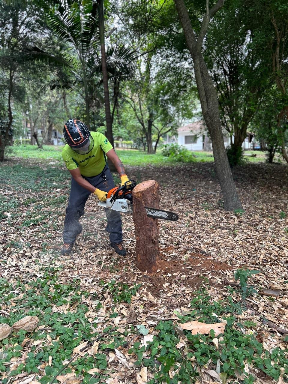 NR 12 - Uso de Motosserra com Segurança - Imagem 11