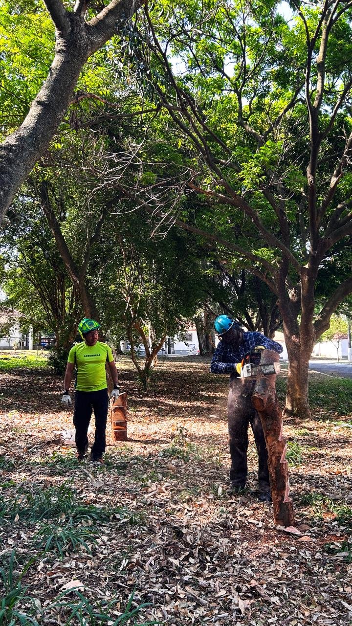 NR 12 - Uso de Motosserra com Segurança - Imagem 9