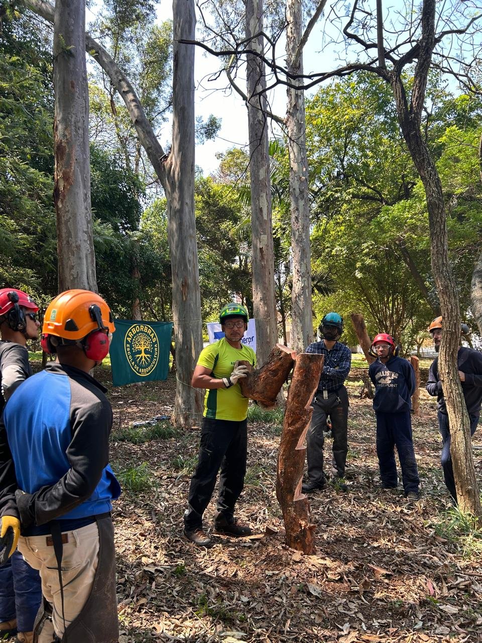 NR 12 - Uso de Motosserra com Segurança - Imagem 8