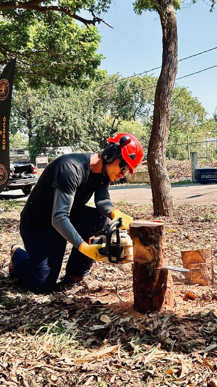 NR 12 - Uso de Motosserra com Segurança - Imagem 7