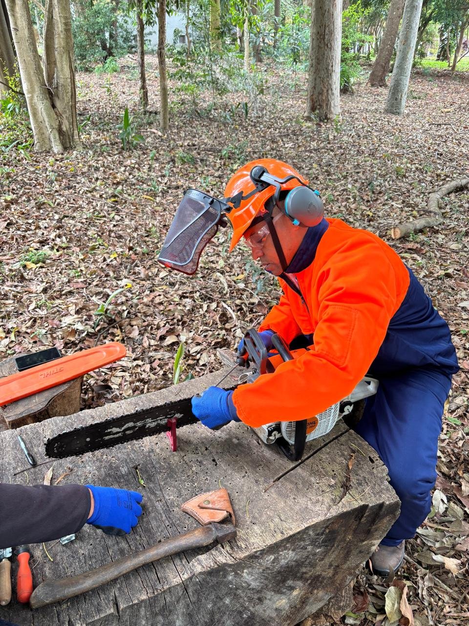NR 12 - Uso de Motosserra com Segurança - Imagem 5