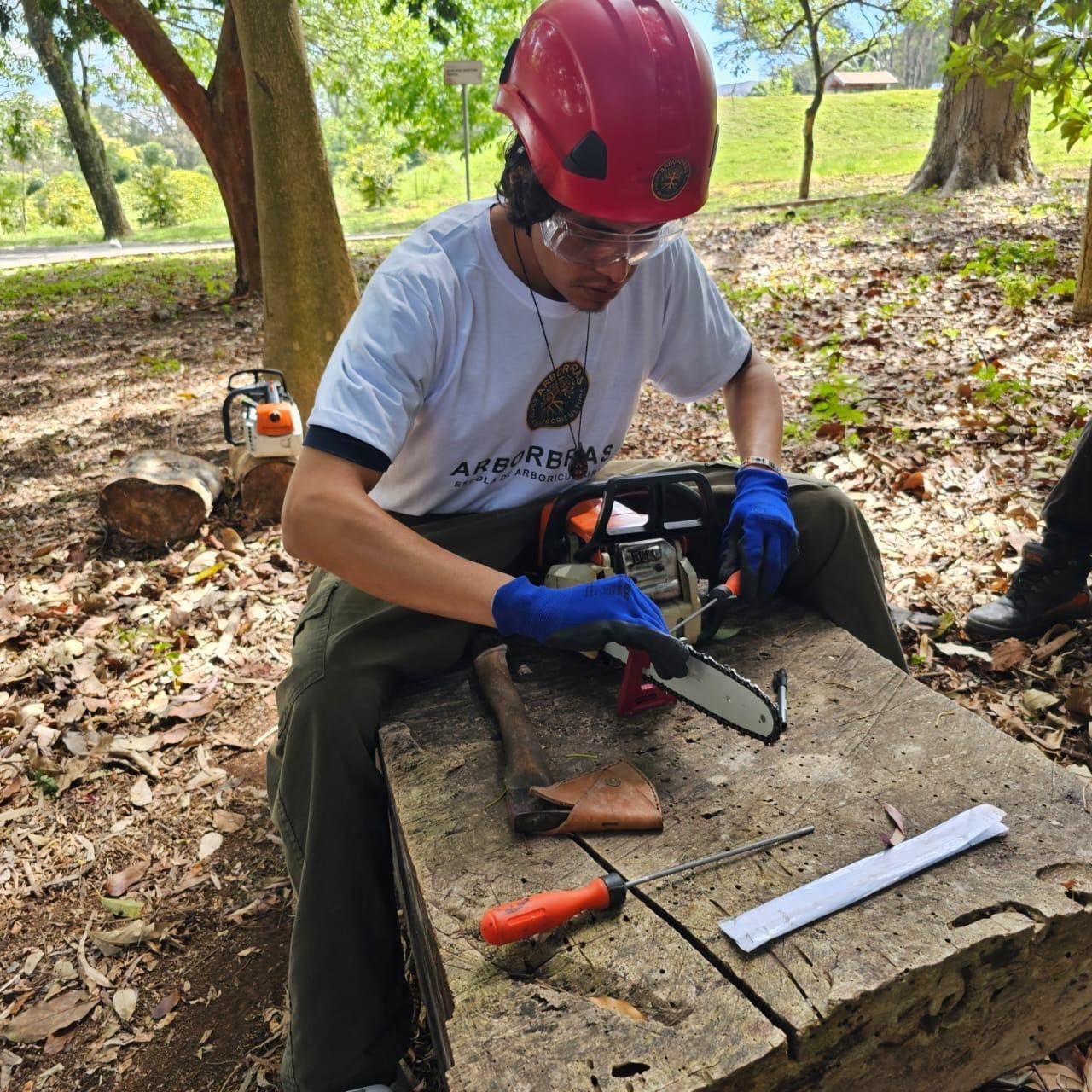 NR 12 - Uso de Motosserra com Segurança - Imagem 3