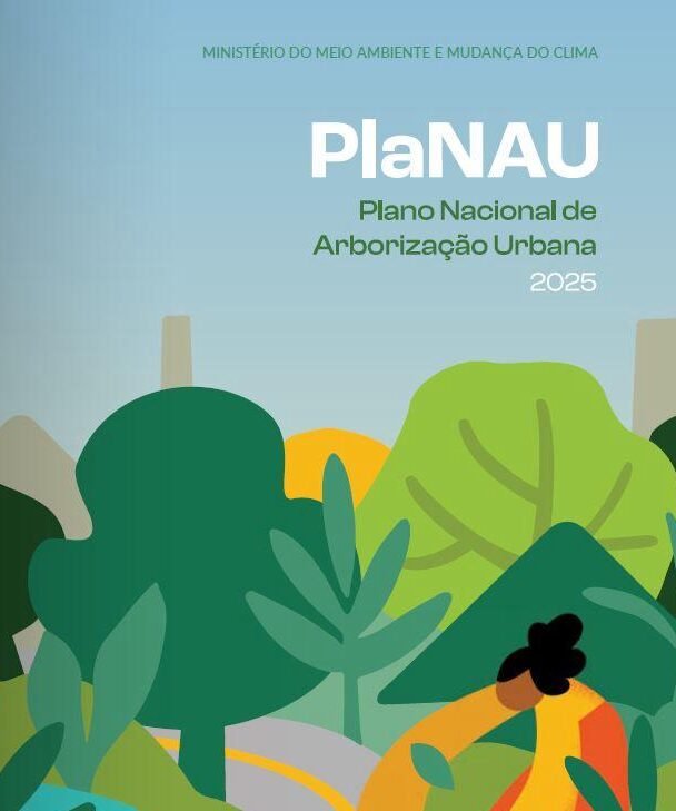 WhatsApp Image 2026-03-10 at 13.03.56